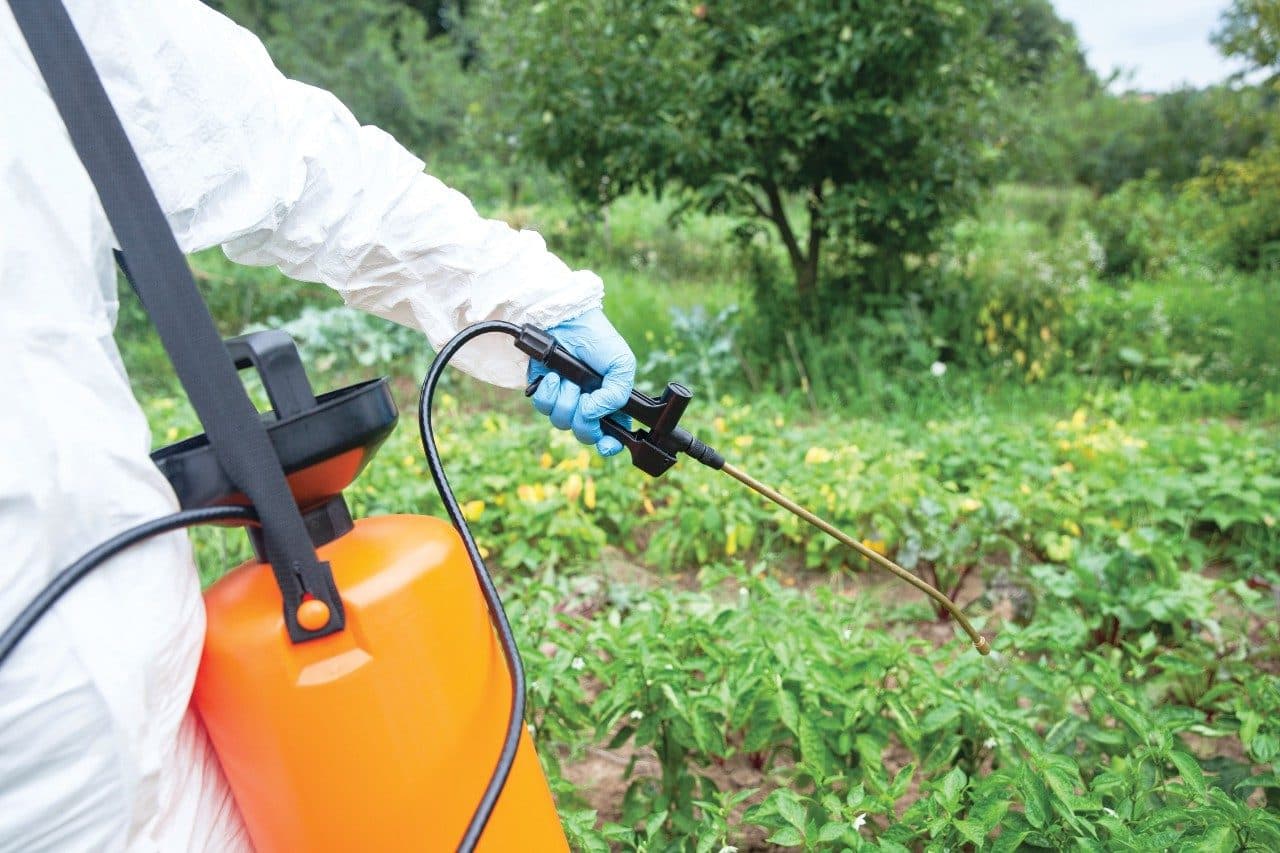Roundup